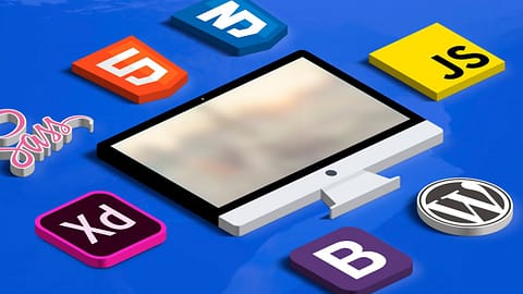 Diseño web Tamaulipas