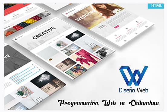 Programación Web en Chihuahua