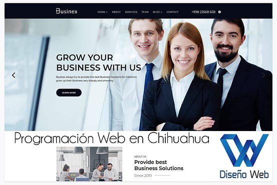 Programación Web en Chihuahua