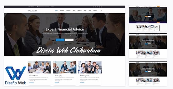 Diseño Web Chihuahua