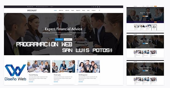 Programación Web en San Luis Potosí