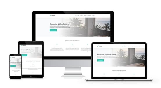 Desarrollo Web en Puebla de Zaragoza