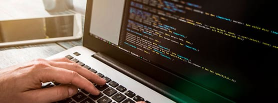 Desarrollo Web en Saltillo